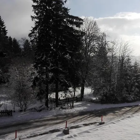 Fichtenweg 54 Appartement Winterberg