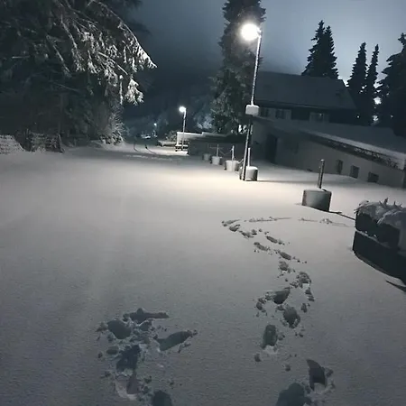 Fichtenweg 54 Appartement Winterberg