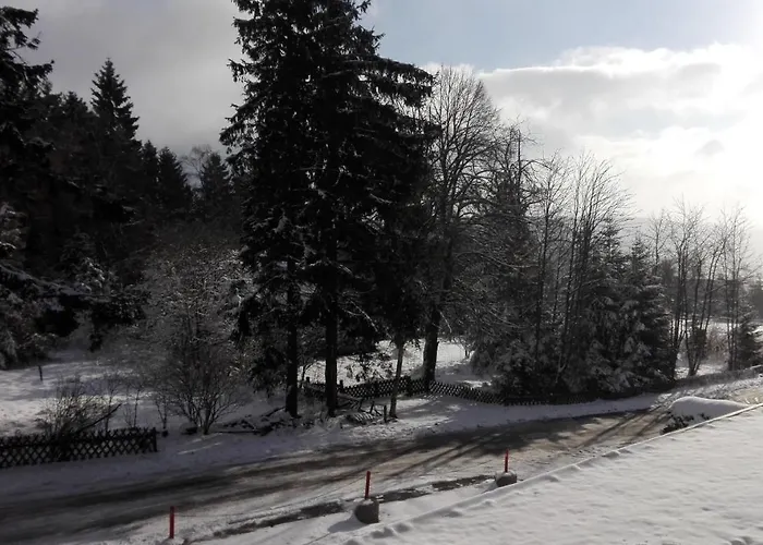 Fichtenweg 54 Appartement Winterberg