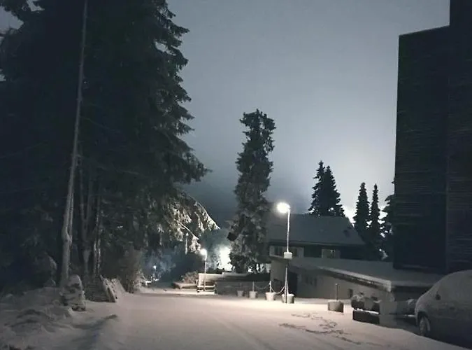 Appartement Fichtenweg 54 Winterberg