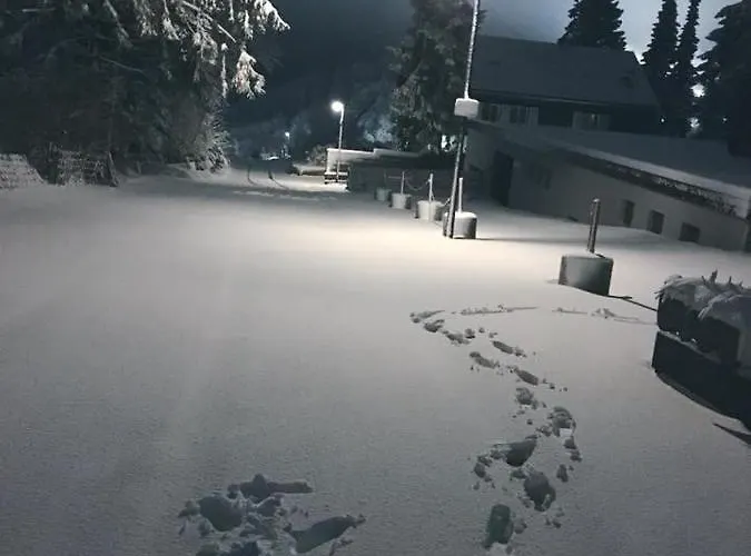 Fichtenweg 54 Appartement Winterberg